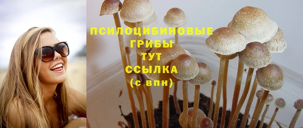 PSILOCYBIN Заволжье