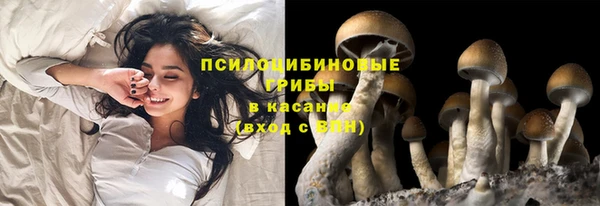 прущая мука Приозерск