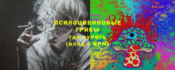 ALPHA-PVP Пролетарск
