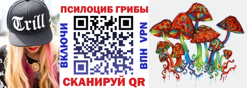 наркотики Красный Холм Псилоцибиновые грибы Magic Shrooms